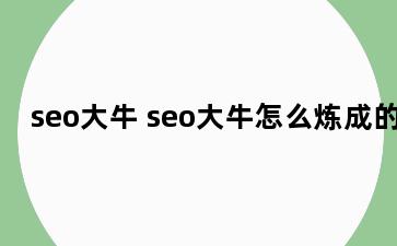 seo大牛 seo大牛怎么炼成的